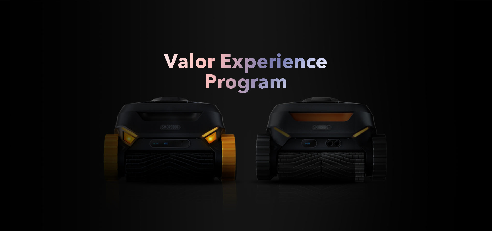 Valor Experience Program