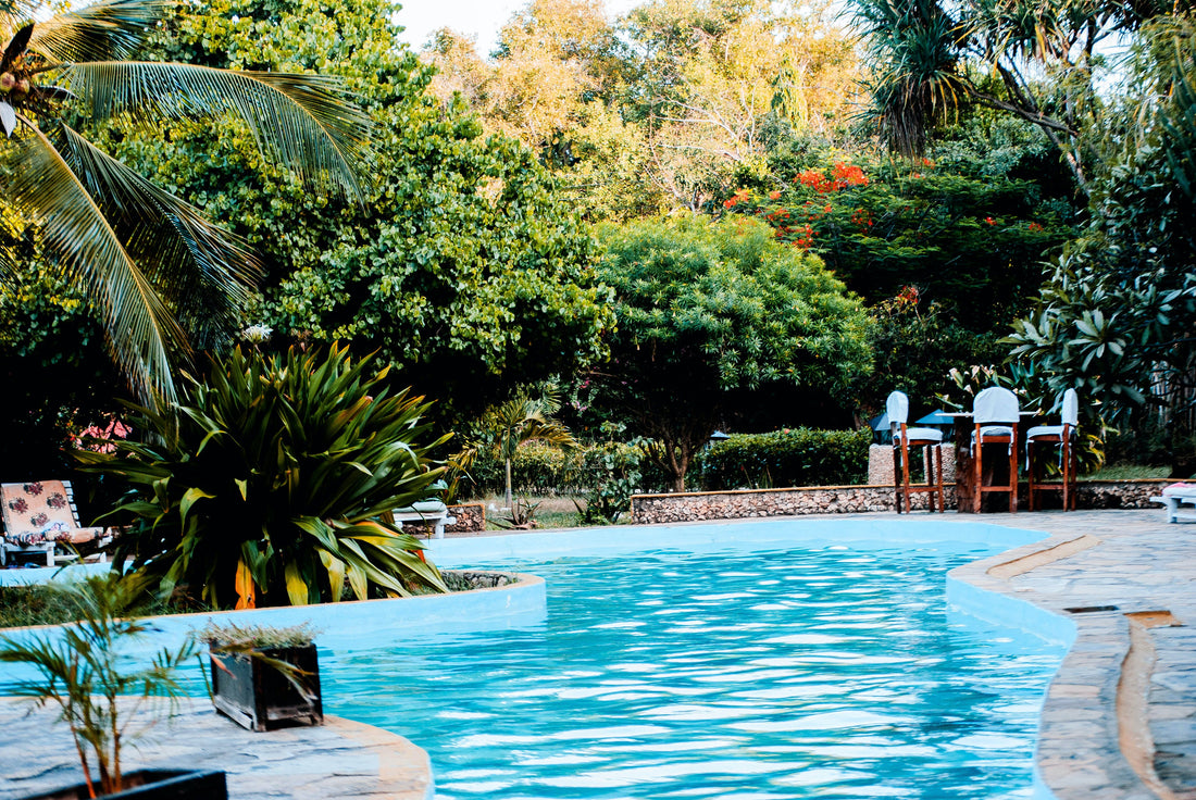 Innovations and Future Trends in Pool Cleaning Robots: Spotlight on SMOROBOT